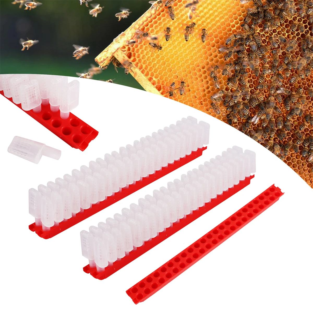 1 Set Queen Cell Cage with Transport Box Kit Beekeeping Supplies