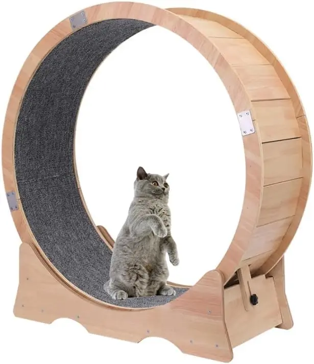 Moisture-Proof And Deformable Small Pet Treadmill Running Wheel