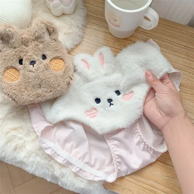 Autumn Winter Kawaii Lolita Bra and Panty Set Sexy Cute Bear Embroidery  Plush Cartoon Underwear Women