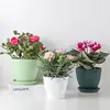 Flower Pot Round Planters Succulents Plant Pot with Tray Office Desktop Balcony Home Garden Decoration Outdoor Potted 5 Sizes 3