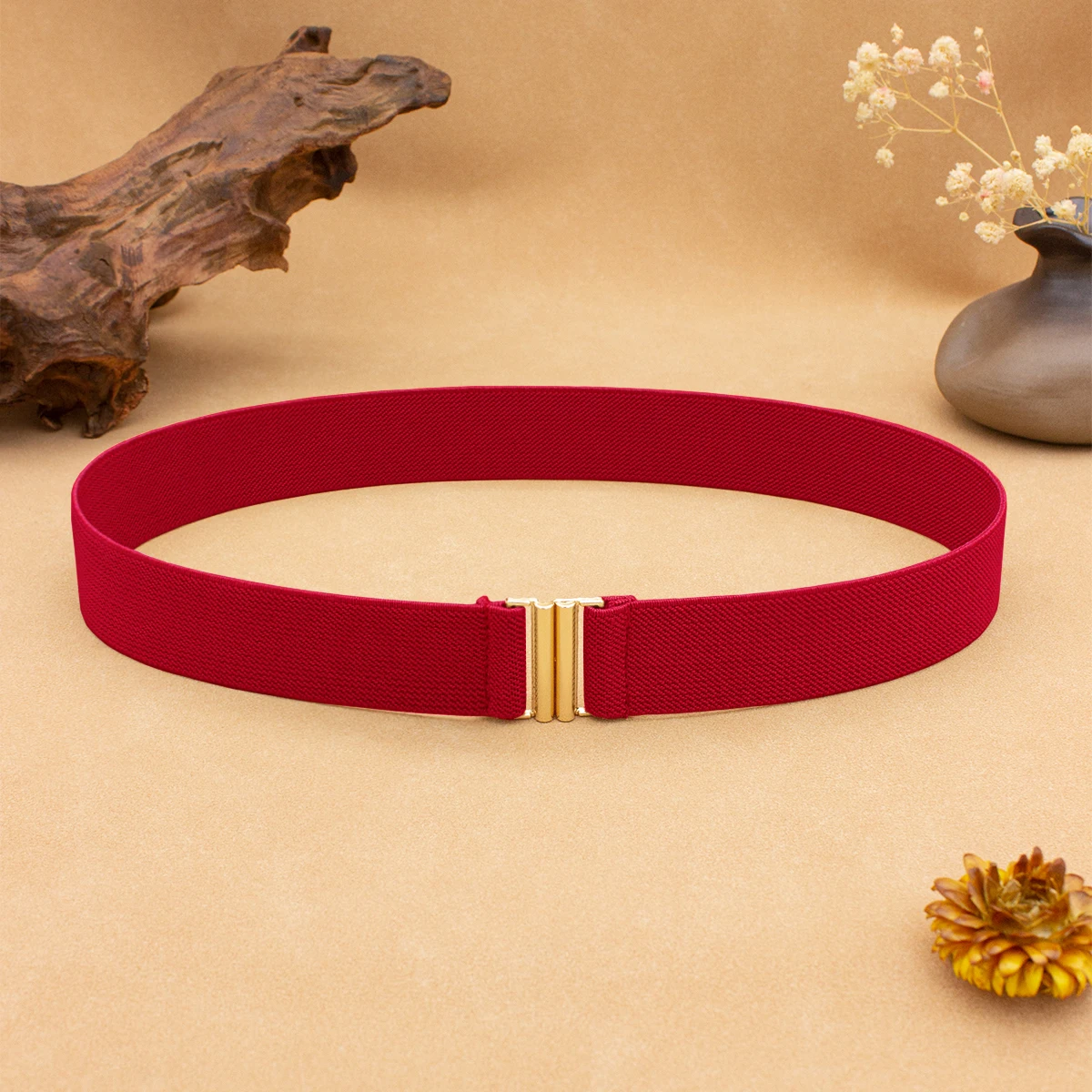 SISHION 2026 Promotion Elastischer Taillengürtel Mode Damen Rosa Rot Schwarz Weiß Gürtel Schlankes Korsett Taillenband Cummerbund YD0001Gold – Detail 7