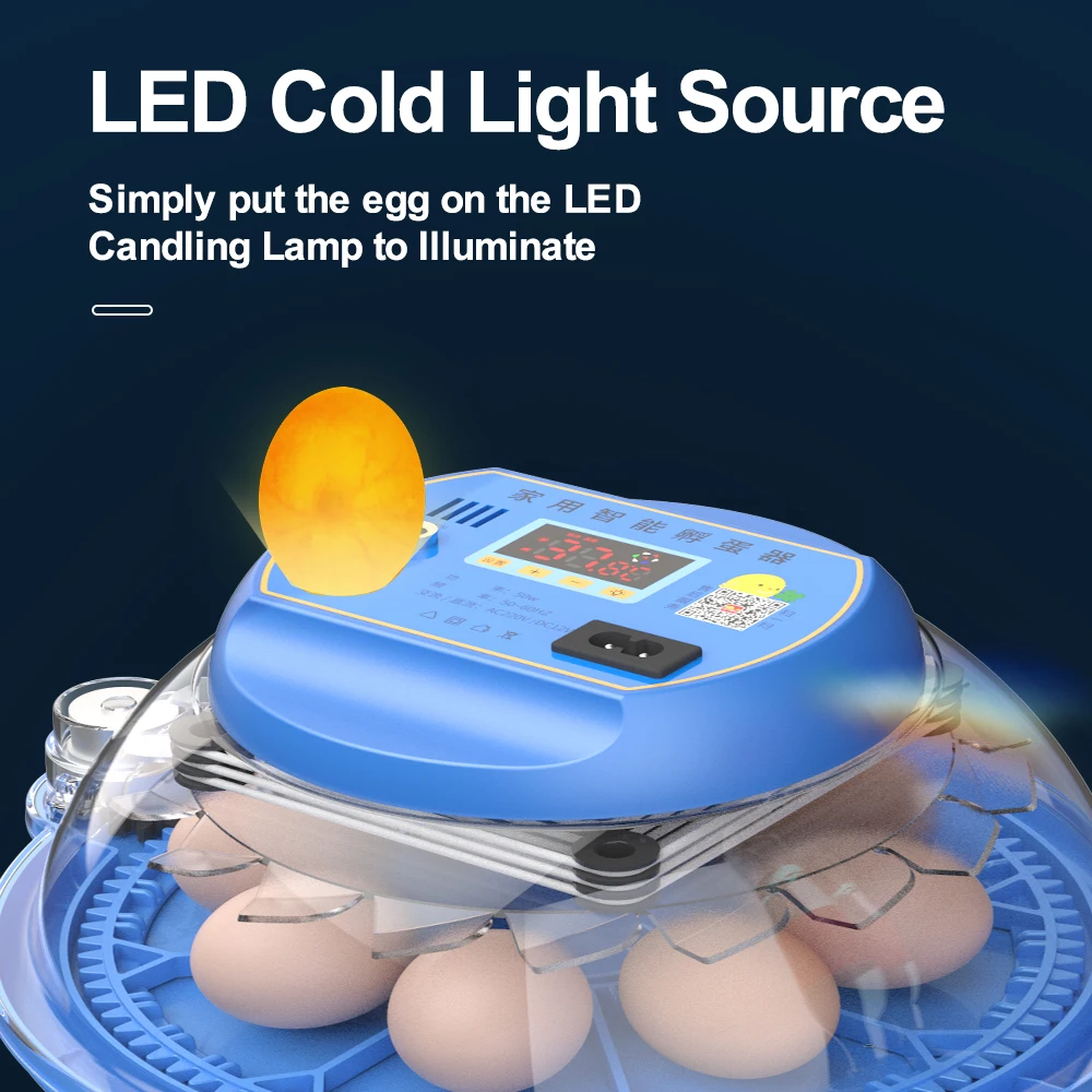 Egg Incubator 8 Egg Automatic Incubator for Eggs Brooder Chicken Duck Quail Birds Electric Incubation 12V 110V 220V