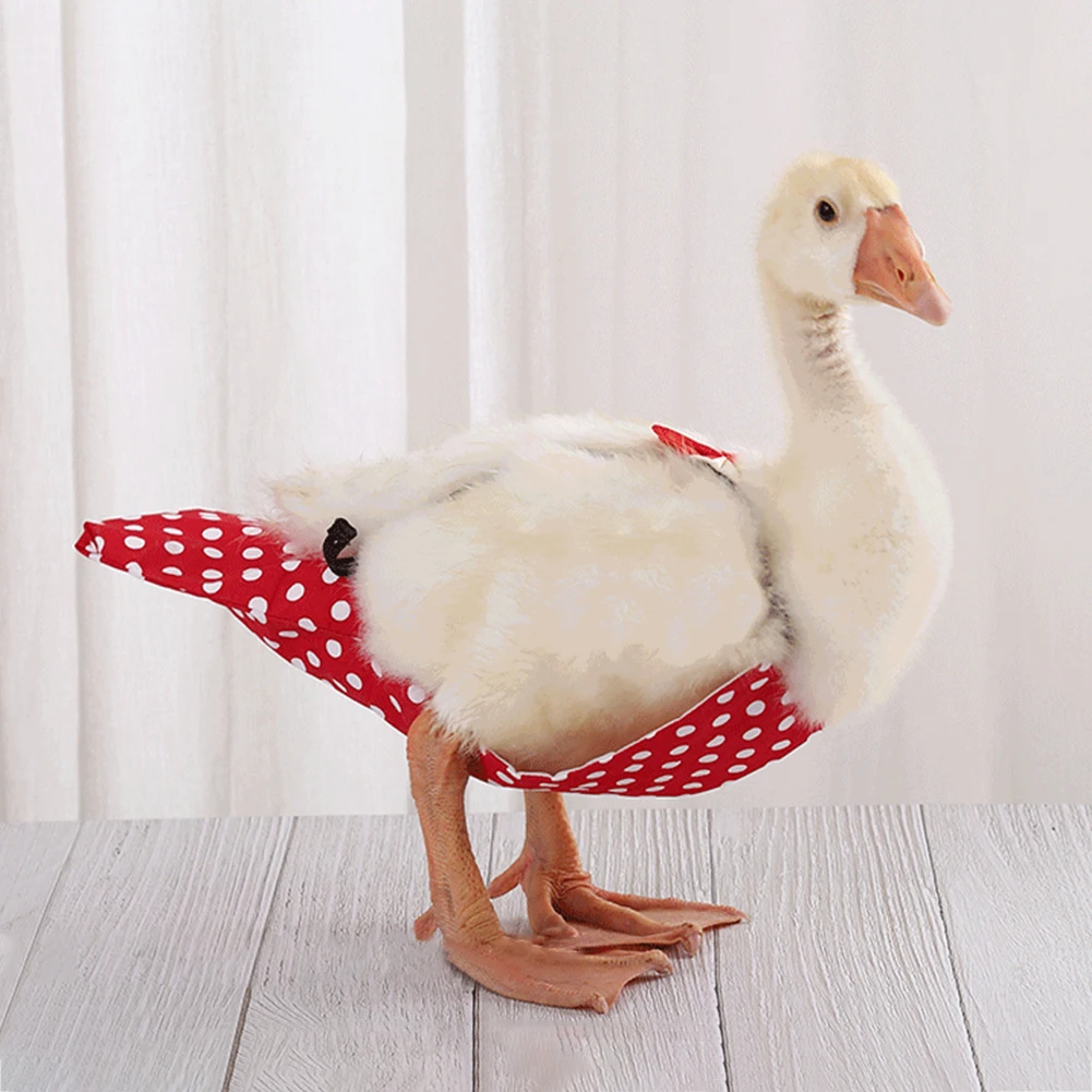 WedDecor Bottoni Automatici Kam Snap Originali T3 - 50 Pezzi In Plastica Nera - Senza Cuciture Per Fai Da Te, Abbigliamento Bambini, Bavaglini E Pannolini