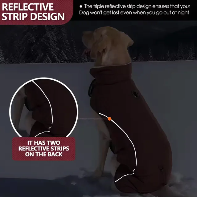 Waterproof Dog Winter Jacket 5