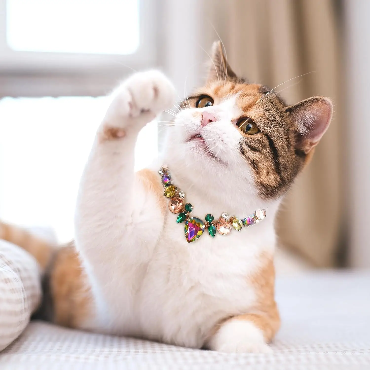Luxury Gemstone Dog Cat Collar Gold Chain Necklace Fashion Pet Jewelry Accessories Puppy Diamond Collar for Small Medium Dogs