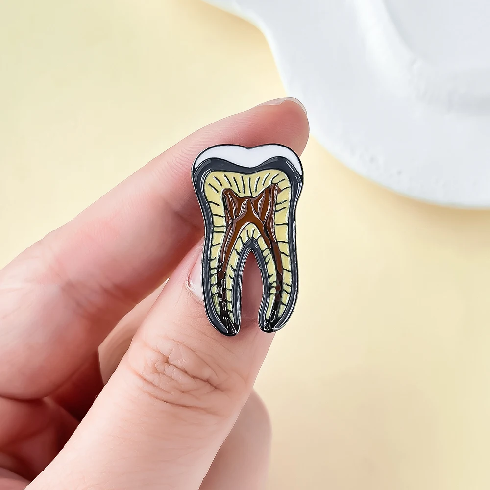 Dental Model Anatomy Lapel Badge Brooch Enamel Needle Dental Dentist Accessories Jewelry Creative Gift