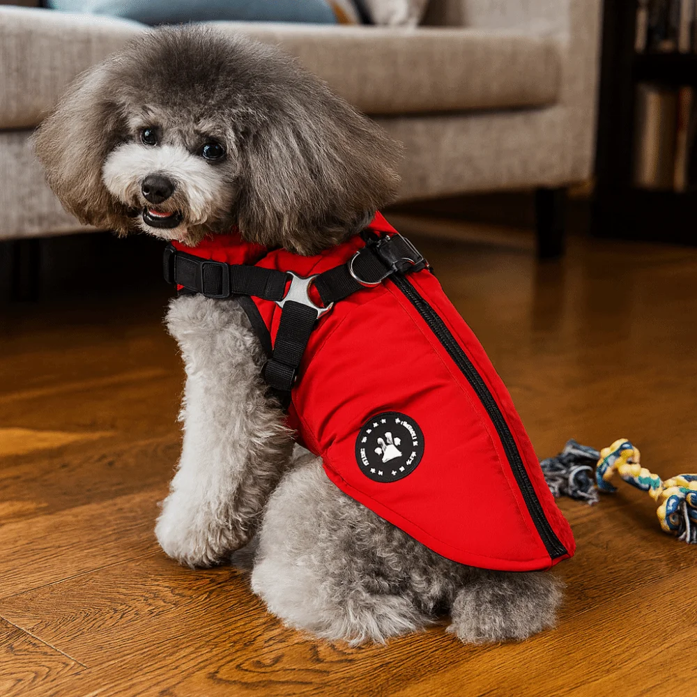 Waterproof Adjustable Dogs Down Clothes Thicken Windproof Dog Coat Warm Soft Winter Dog Clothes for Dogs Cats