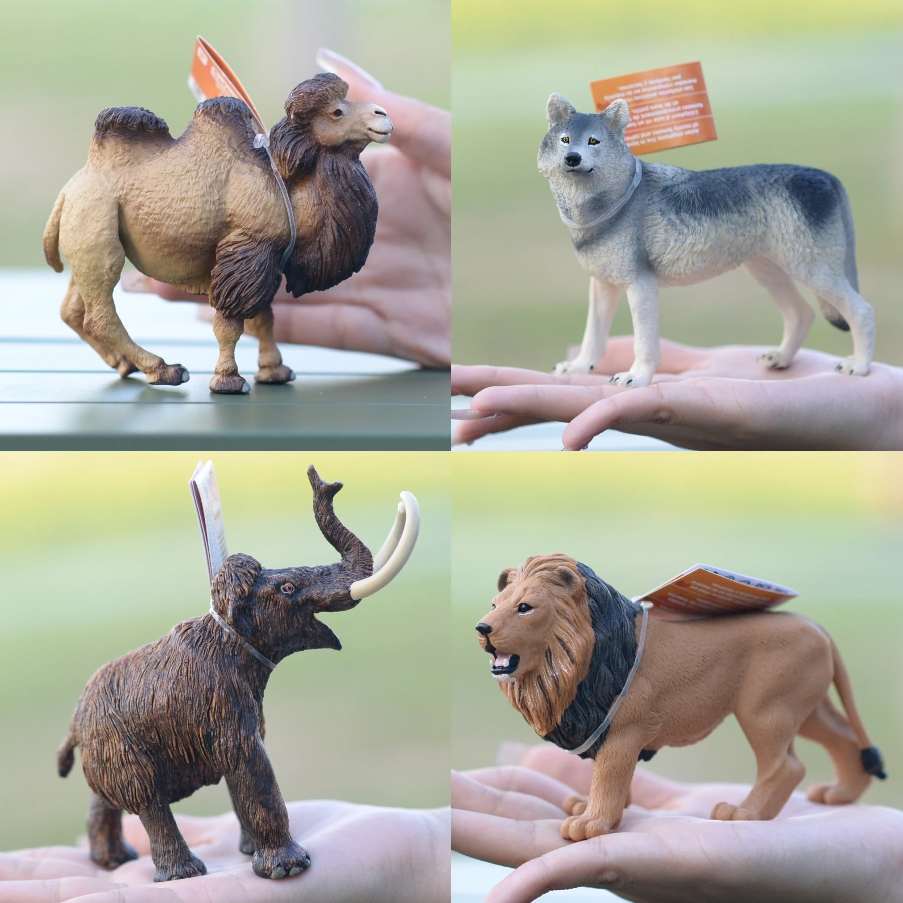 Safari Wildlife Model Toys Lion Tiger Elephant Monkey Wolf Camel Mammoth Crocodile Static Animal Dolls for Ages And above