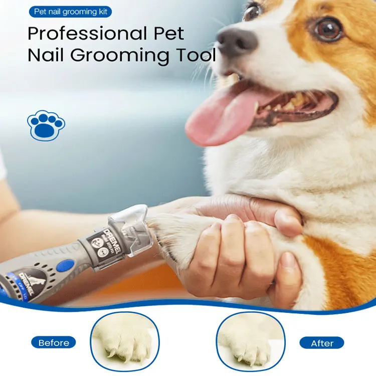 Dremel Electric Dog Nail Grinder 7020-Pgk Pet Nail File Care Set with 4 Sanding Discs Alternative Nail Clippers and Trimmers pepper led nail clippers claw trimmers for cat dog toe nail clippers with led light for bloodline