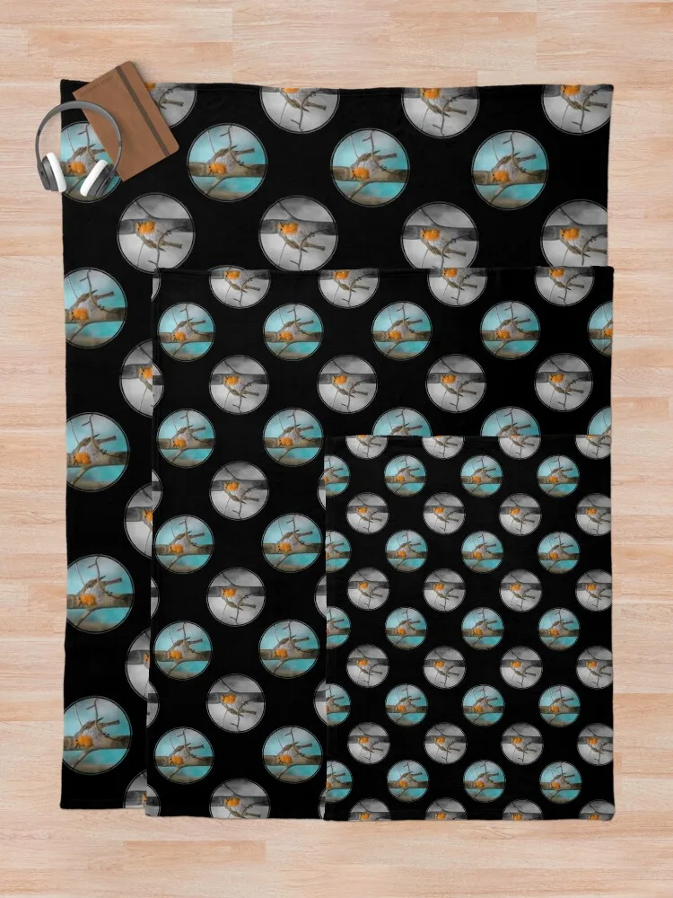 ���� �κ� (Erithacus rubecula) �ɸ��� ������ ���, ���ſ� ���, �غ� ���, ���� ���