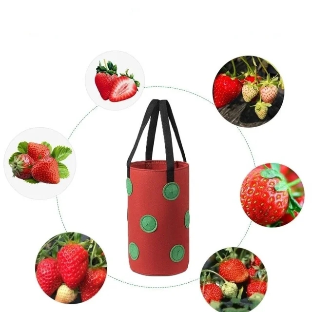 Eper Táskák Lyukakkal Az Alján Lógó Ültetési Virágcserepek Kertészeti Szerszámok - Image 2