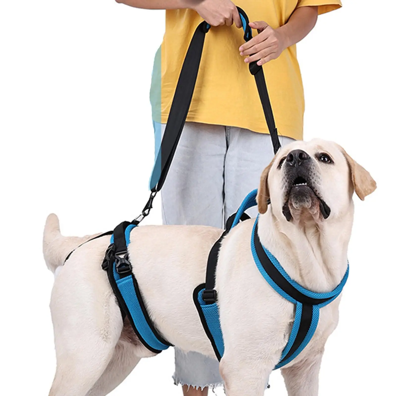 Dog Hip Support Coodeo Dog Lift Harness, Full Body Support