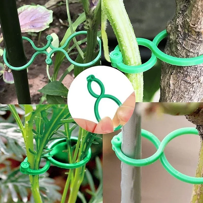100 Clip Per Piante A Farfalla In Plastica Verde – Supporto Riutilizzabile Per Rampicanti, Pomodori E Fiori, Per Interni Ed Esterni