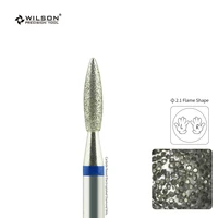 WILSON Flame Shape Diamond Bits-Nail Accessories/Tools/Manicure/Drill Bits 2