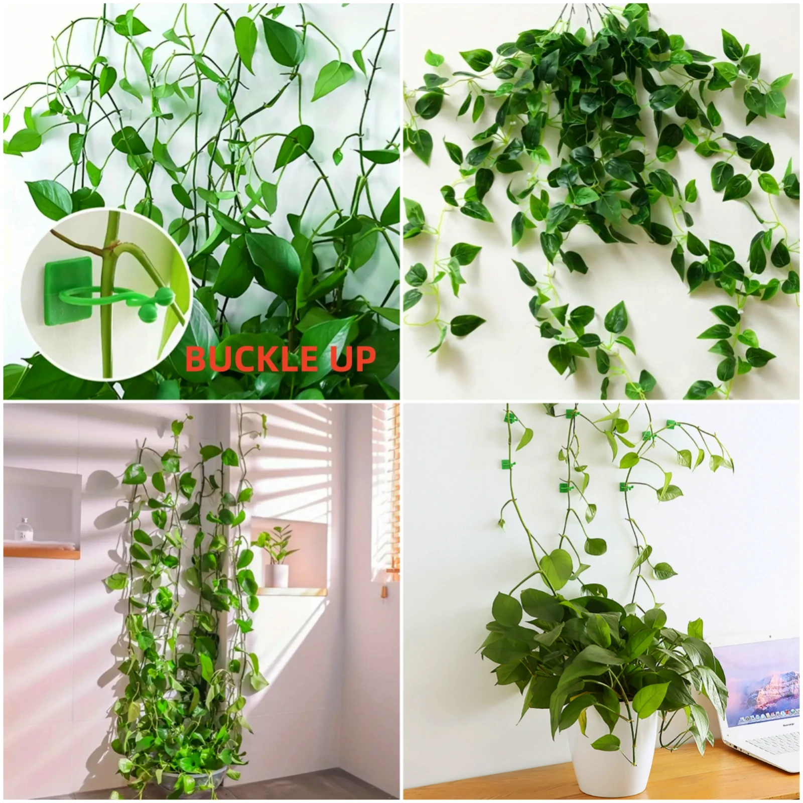 Self-Adhesive Plant Climbing Fixture Clips - Invisible Vine Buckle Hooks (10/20PCS)