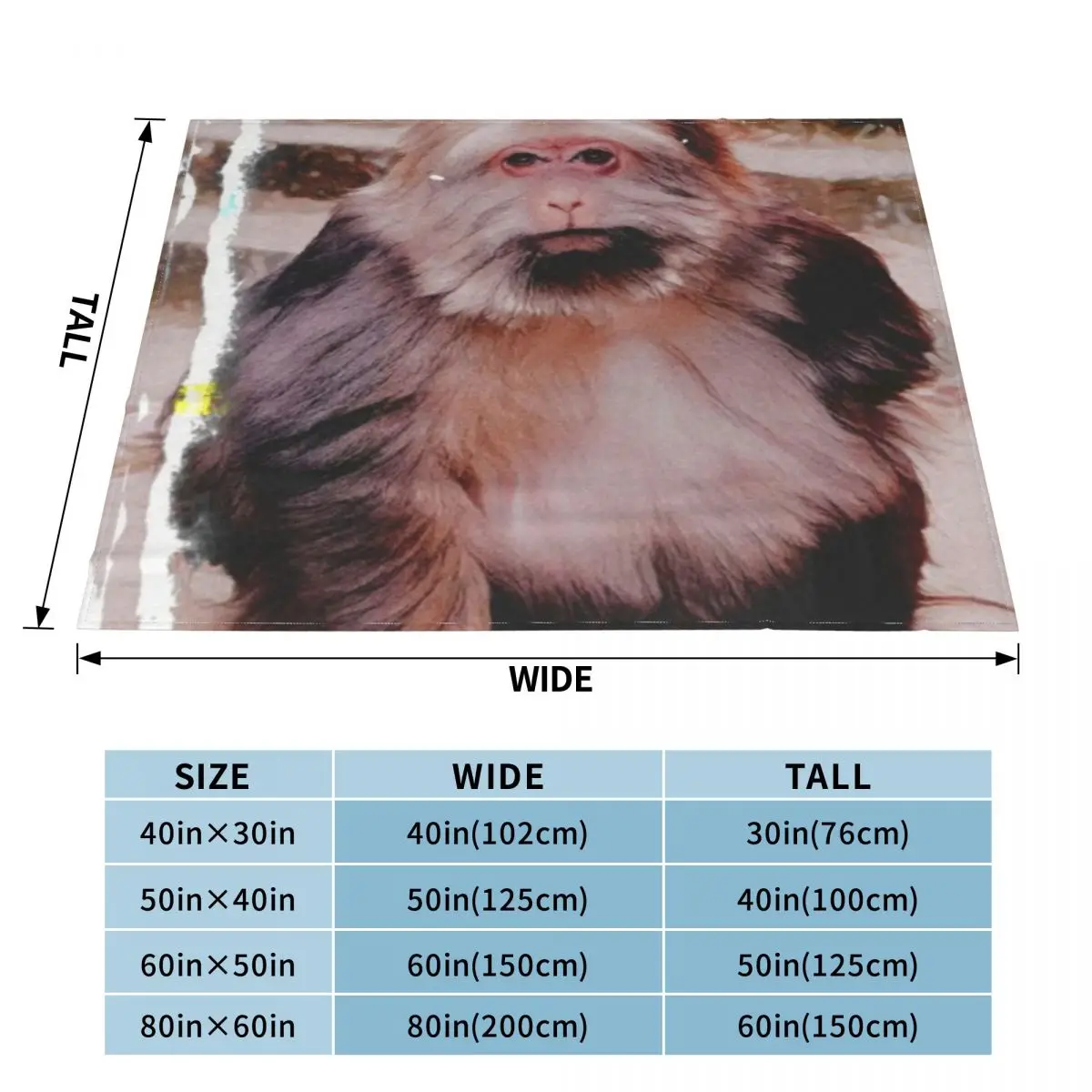 Xingxing ��Ű ��Ʈ ��Ʈ�� ����Ʈ ����ũ�� �ø��� ���