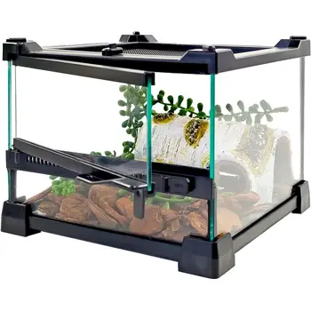 Glass Mini Reptile Terrarium 1
