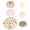 6 Pcs Aquarium Decorations Fish Tank Sea Urchin Crafts Home Decor Seashell Conch Vases Nautical Tilandsia Holder 1