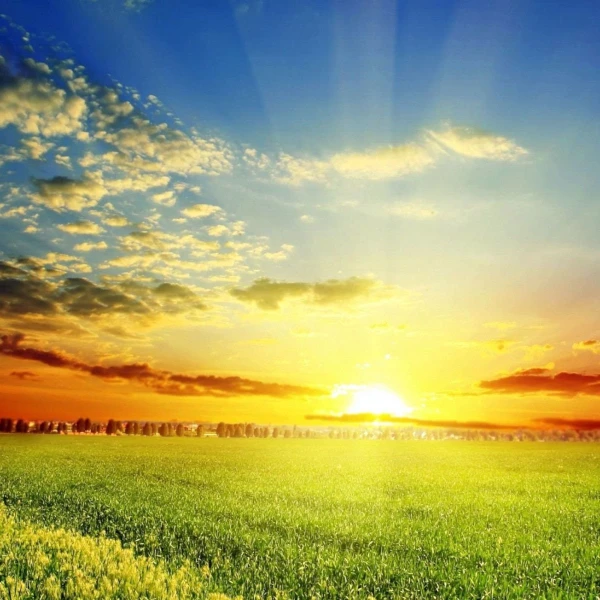 warm sunshine Store