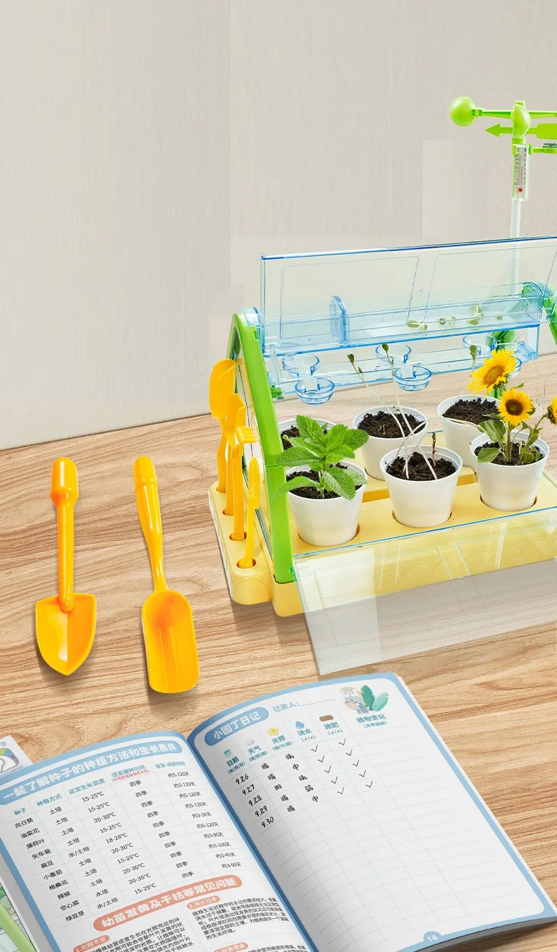 Activity Plant Children'S Planting Homework Experience The Fun