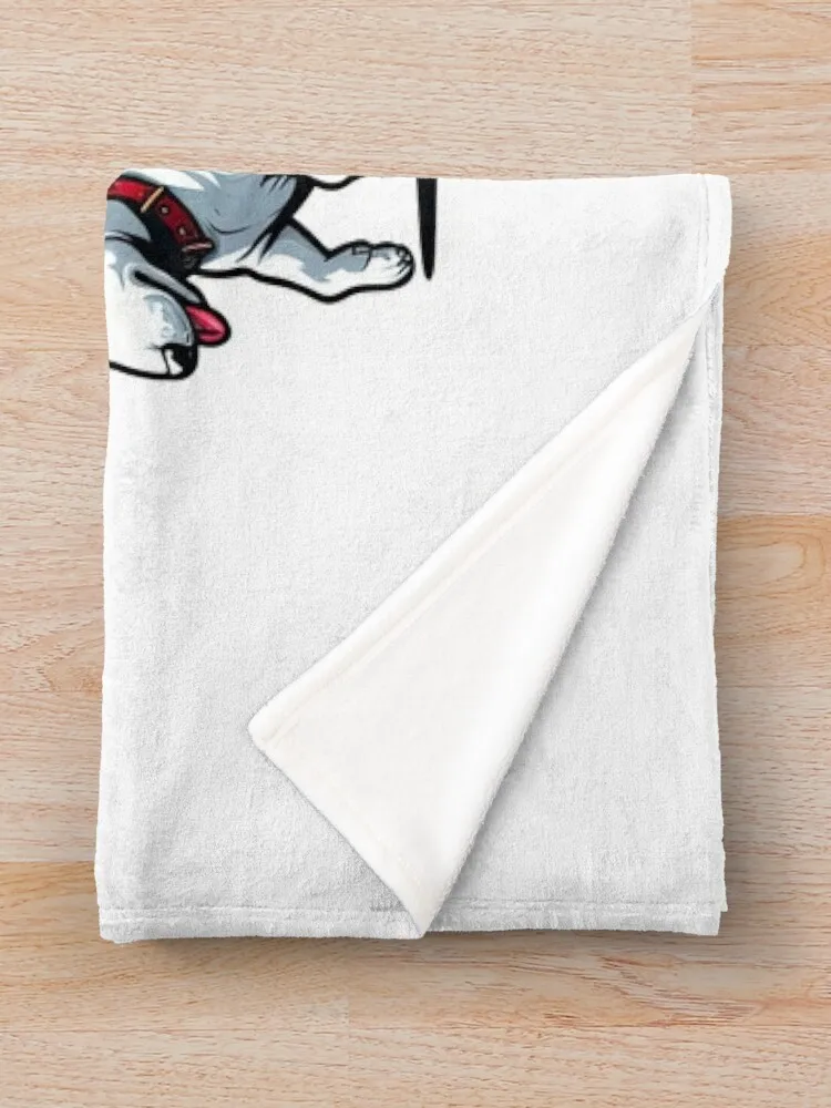 ���� �� �׸��� ������ ��Ÿ Ŭ�ν� ������ ���, ���� ħ��, ķ�� ��ũ�� ���, �ε巯�� ���