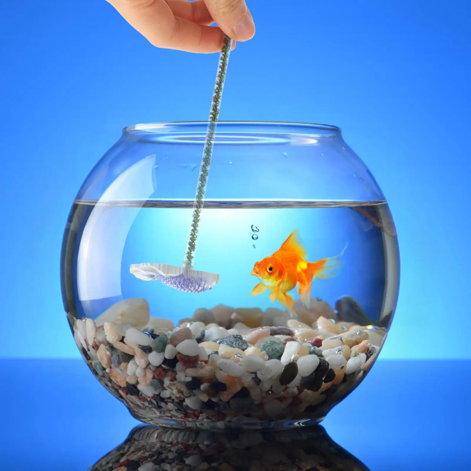 Fish Betta Active Plaything Training Stick Virtual Tank Resin Decorative