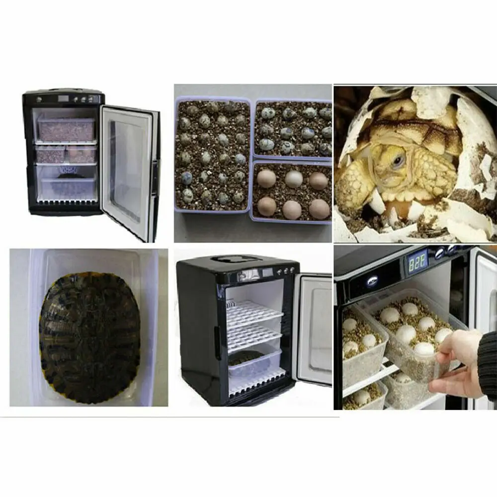 25L 거북이 알 자동 부화기, 도마뱀용 휴대용 차량 냉장고(냉각/가열 기능 포함) 12V 파충류 부화기