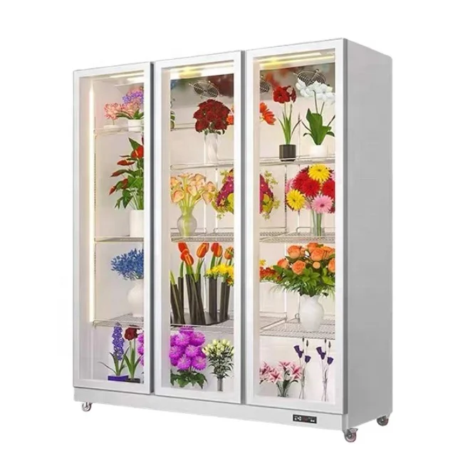 Rose Fresh-keeping Cabinet-Green Leaf Plant Constant Temperature Display Case For Carnation Flowers