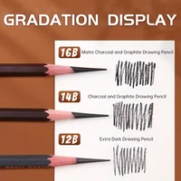 Marie's 12pcs Artist Pencils 12B/14B/16B,Black Graphite Core,Matte Pencil Set for Sketching,Drawing,Shading for Artists,Students 2