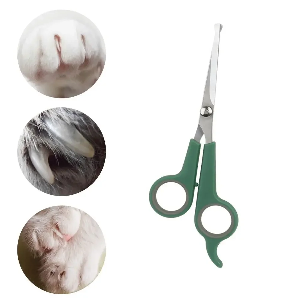 Portable Professional with Round Tip Durable Plastic Pet Accessories Dogs Hair Scissor Hair Cutting Tools Cat Grooming Scissors hairdressing scissors dog grooming scissors dog grooming scissors kit hair trimmer scissors