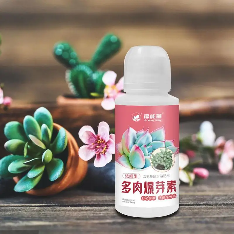 Succulent-Food-Liquid-Potted-Succulent-Liquid-Food-100ML-Succulent-Fertilizer-Amino-Acid-Fertilizing-Cleaning-Houseplants.jpg Zamatos Élelmiszer Folyékony Cserepes Ételek 100 Ml Műtrágya Aminosavat Megtermékenyítő És Tisztító Szobanövények - Image 4
