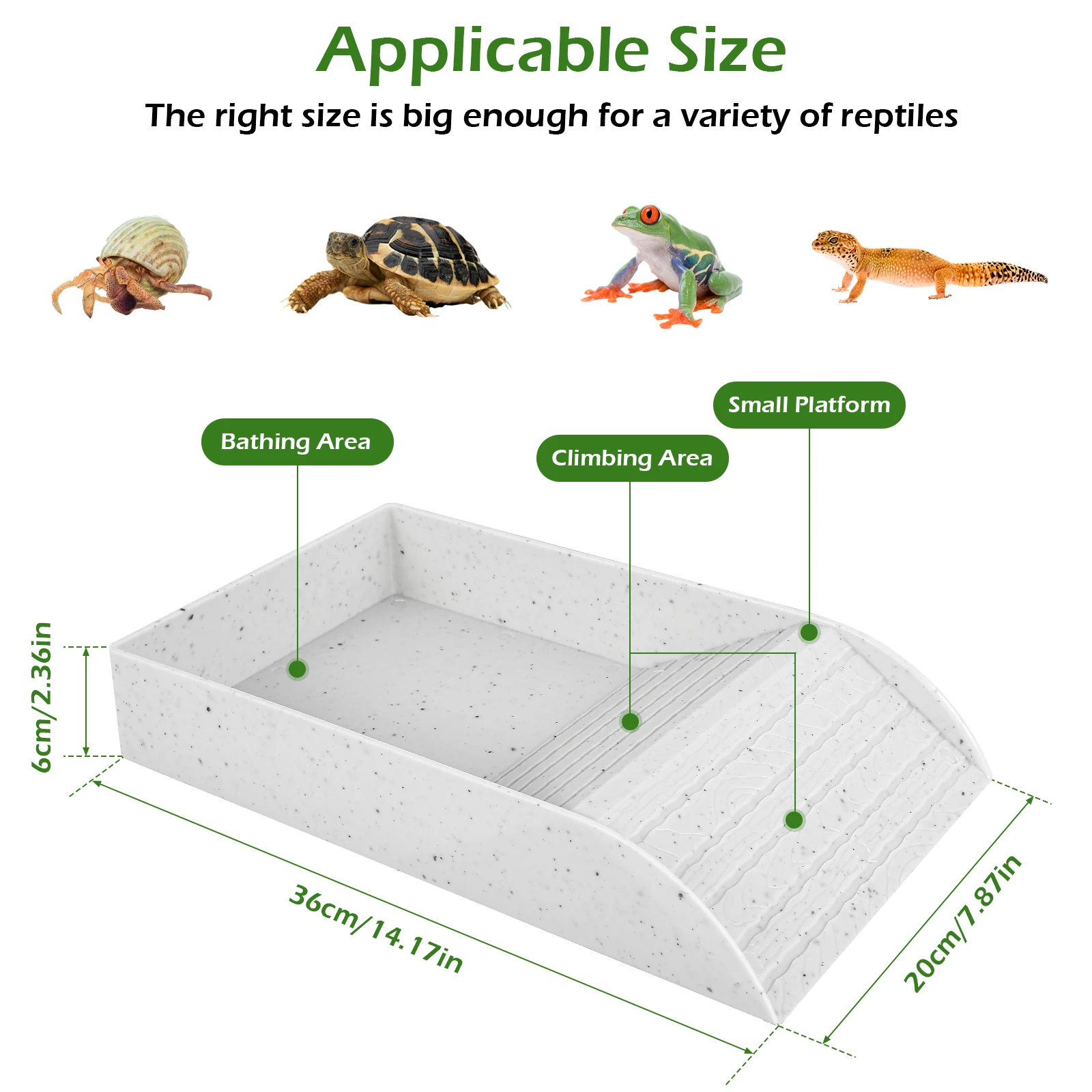 Reptile Platform Habitat Tortoise Food Dish Crawling Pet Water Food Bowls Anti-Slip Turtle Reptile Pool Hideout Caves Shelter reptile platform