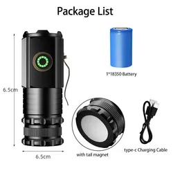 Compact Waterproof LED Flashlight with Pen Clip & Tail Magnet (With 1X18350 Battery)
