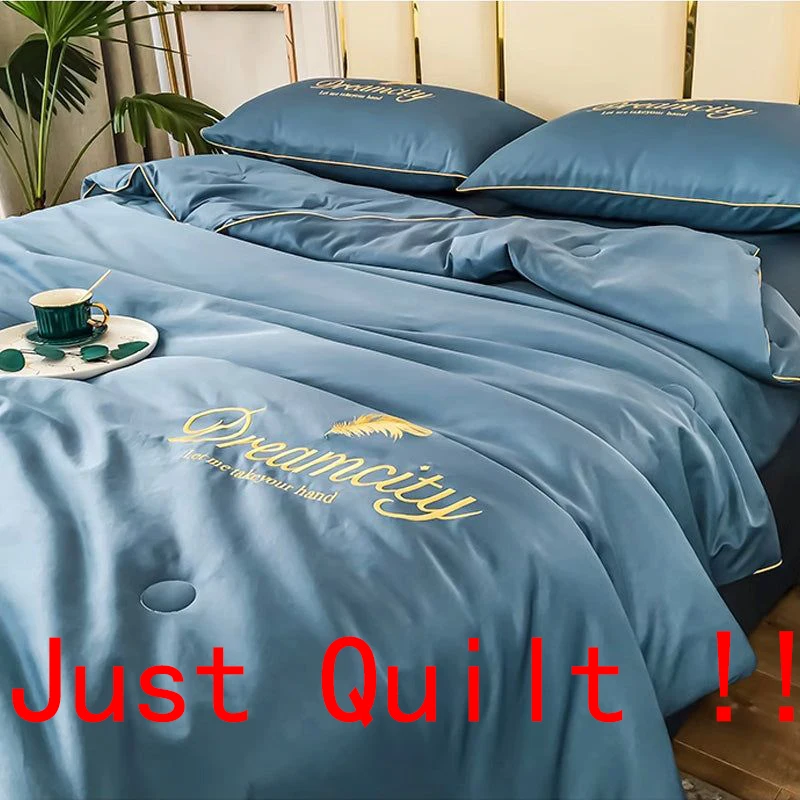 럭셔리 자수 여름 심플한 쿨 아이스 실크 퀼트, 통기성 퀸 이불, 쿨링 이불 침구 세트, 아이스 레이온 담요