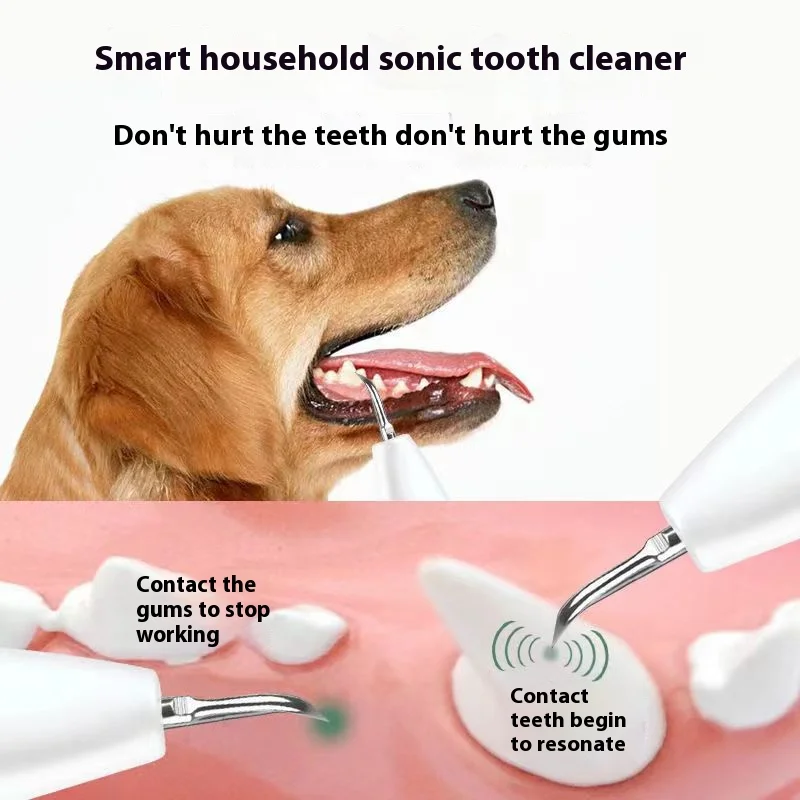 6568-680e22.jpg Removedor ultrasónico de sarro para perros, limpiador de placa dental