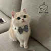 Pearl Dog Collar Jewelled Silk Wedding Cat Puppy Ribbon Scarf Pendant Pet Bows Necklace Satin New Kitten Accessories Bowtie Gift 4