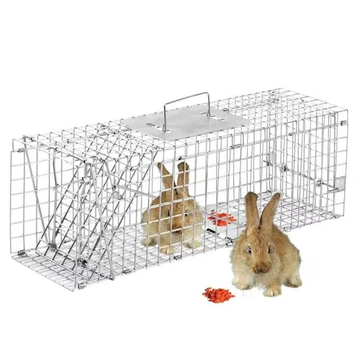 Medium One Door Catch Release Heavy-Duty Humane Cage Live Animal Trap for  Rats, Raccons, and Other Same Sized Animals