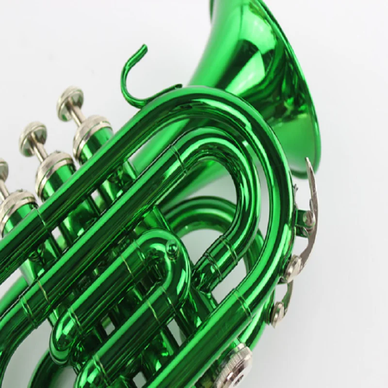 Pocket Green Palm Instrument for Beginner, Western Wind Instrument, B Flat, Manufacturers,