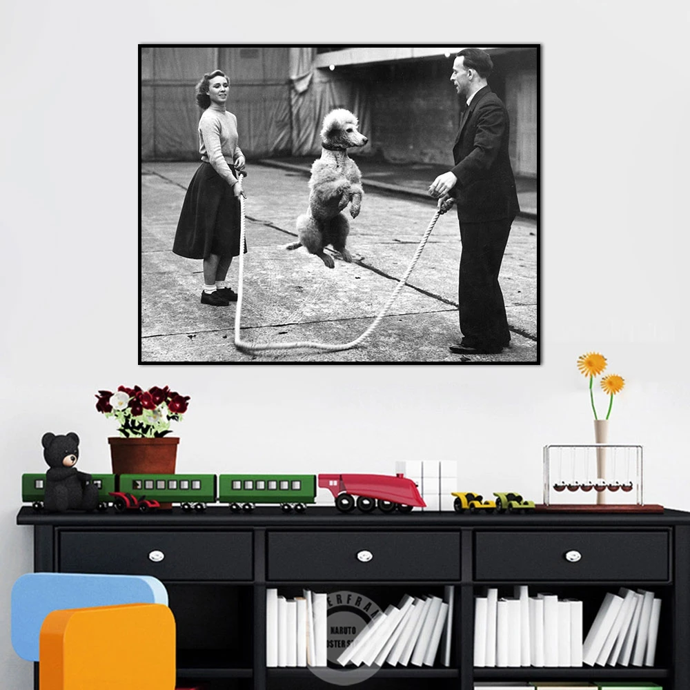 

Poodle Jump Rope Print Vintage French Dog Posters Canvas Painting Black And White Style Wall Art Picture Living Room Home Decor