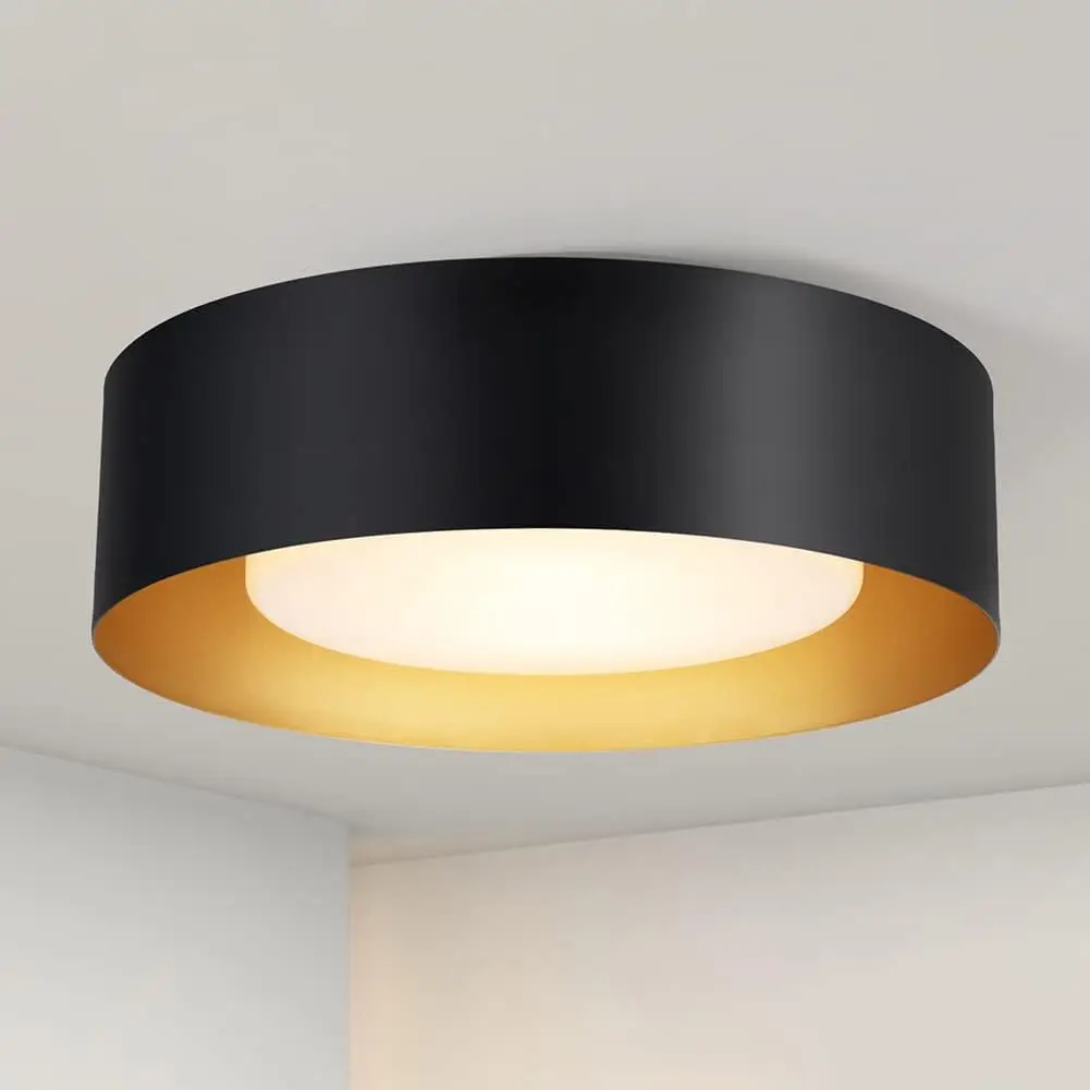 

Black and Gold Flush Mount Ceiling Lights, Minimalist Drum Round Ceiling Lighting, Acrylic Close to Ceiling Light Fixtures for B