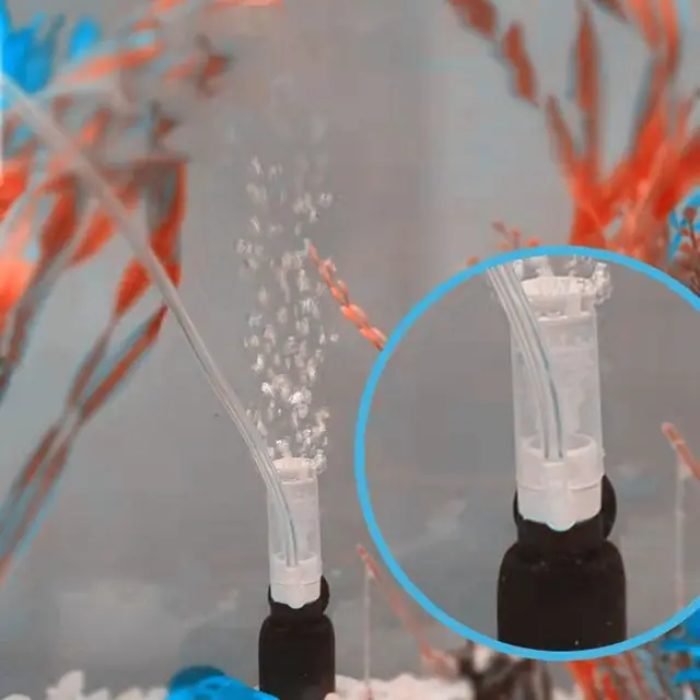 소형 어항 필터로 물고기의 안락함 보장하기