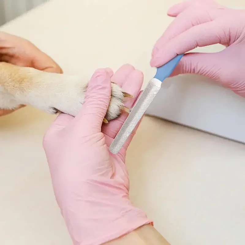 Nail file nail scissors grinder for Dogs and Cats