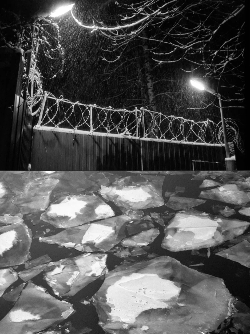 FOMAPAN 100/200/400 30.5 m 135 Black And White Disc Film Czech Reverse Original disc Packaging Disc (Shelf life: 2026)