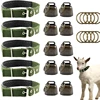 3 Pack Goat Collar with Bell Grazing Copper Bells and Adjustable Nylon Collar Set for Small Farm Animal Sheep Cow Pet Goat green