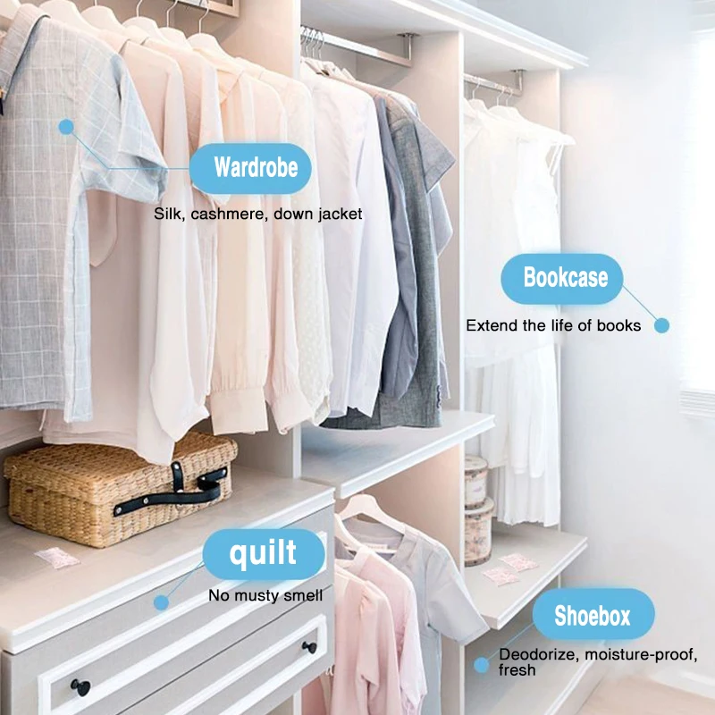 Camphor Balls Camphor Ball Wardrobe Odorless Non-toxic Insect Proof Moisture-proof Moldy Resistant