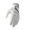 Sheepskin Men's Sports Golf Glove Breathable Single Left Hand Leather Golfing Glove Slip-Resistant White Golf Accessories Male 4