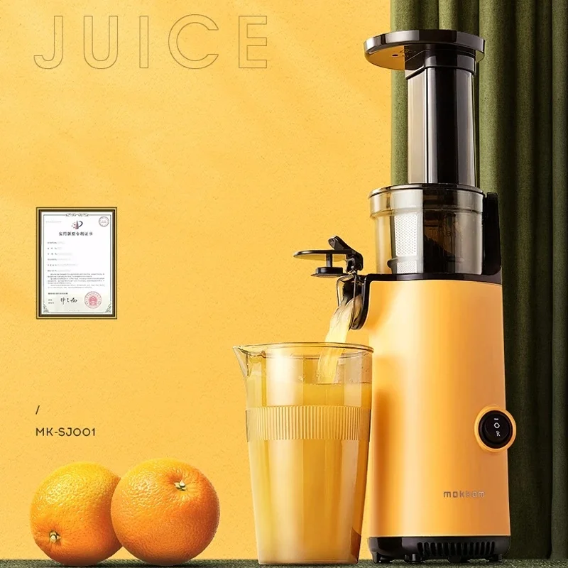 2023 Electric Fruit Vegetable Juicer Machine Mini Slow Juicer Screw Cold  Press Extractor Patented Filter-Free Modle-Portaable - AliExpress