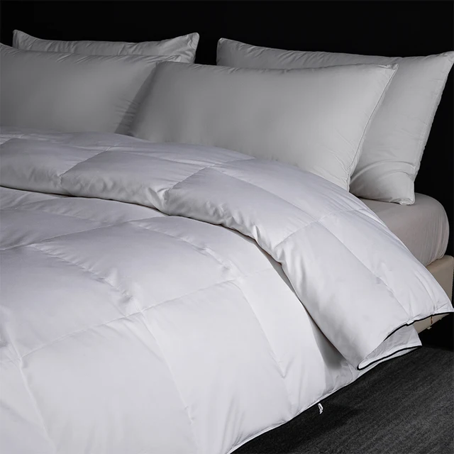 Couette 95% duvet d'oie de Sibérie et couette 100 % soie faite à la main – Ultra moelleuse et respectueuse de la peau, 240 x 260 cm 3