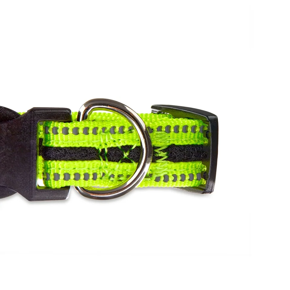 Reflective Adjustable Dog Collar for Small Dogs