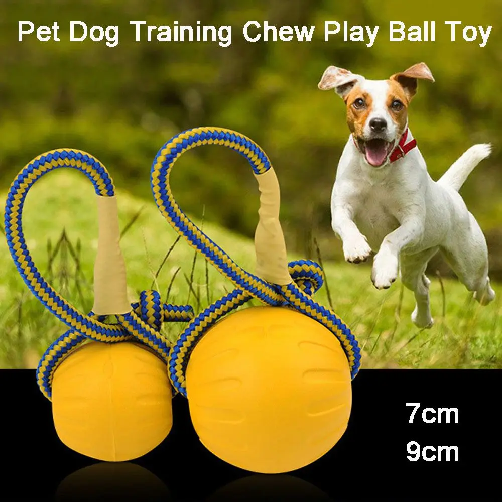 

Pet Products Rubber Ball Indestructible Pet Toys Dog Training Ball Chew Play Fetch Fetch Bite Toy